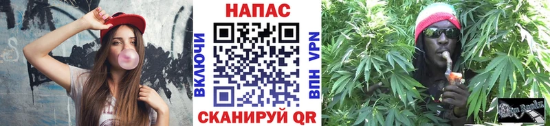 Бошки марихуана марихуана  ОМГ ОМГ как зайти  Ардон  цена наркотик 